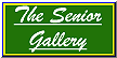 The Senior Gallery